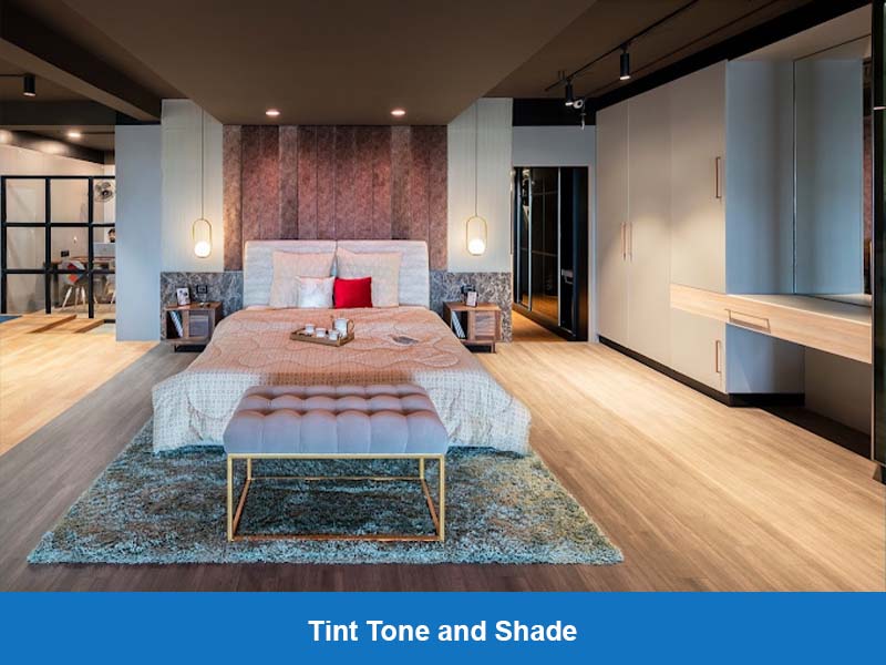 Tint Tone and Shade001