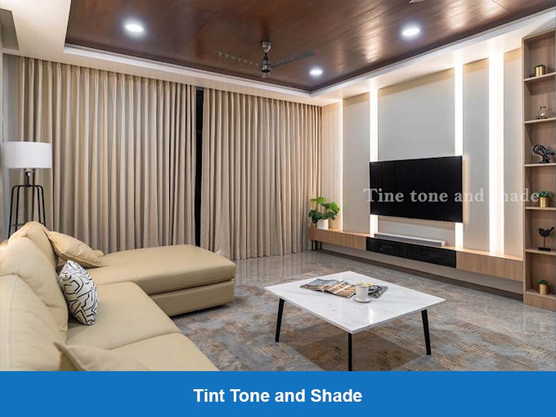 Tint Tone and Shade002