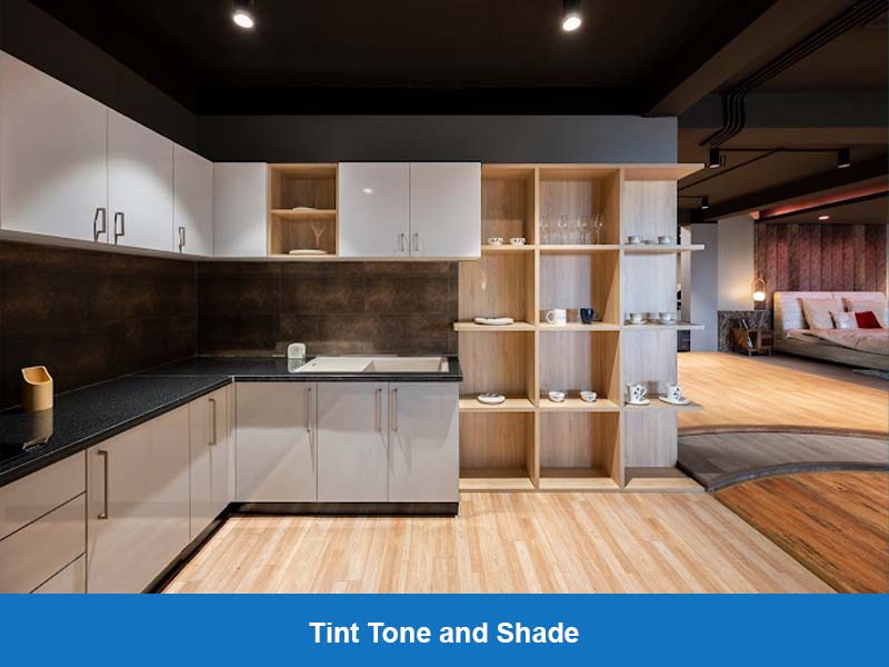 Tint Tone and Shade003